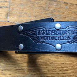 Harley Davidson belt