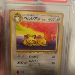 1997 Jungle Persian Psa 9