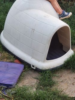 Dog Igloo