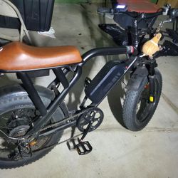 48v Ebike