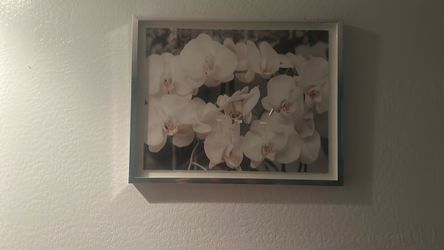 Flower picture.
