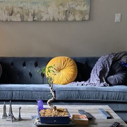 Dark Navy Sofa 