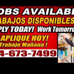 Jobs Available !!Trabajos Disposable !!