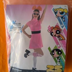 Power Puff Girls Blossom Adult Costume - NEW