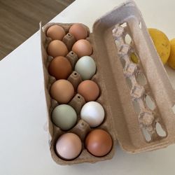 ORGANIC FREE RANGE  EGGS