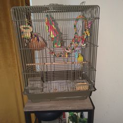 Bird With Cage 