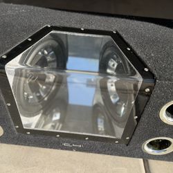 Two 12 inch subwoofers