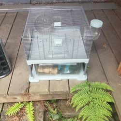  Mice Cages And Things