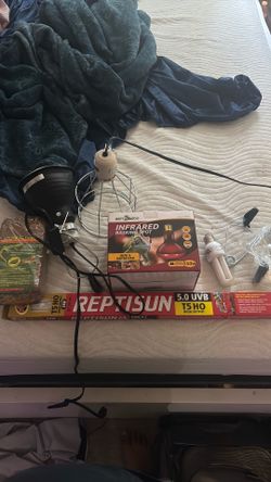 Reptile lighting