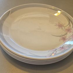 Lunch Plates