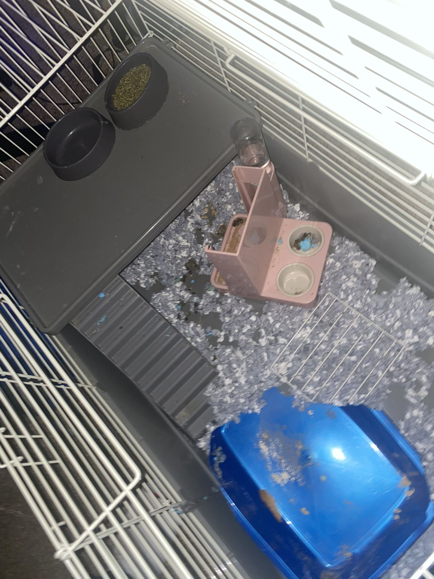 Large Bunny/small Animal Cage And playpen 
