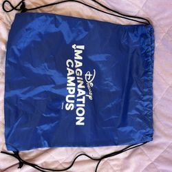 Disney Bag 