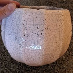 Anthropology Pot