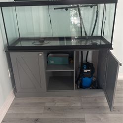 Fish Tank 