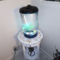 8 Gallon Fish Tank Have Pump Lights Rocks And Decorations 