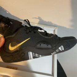 Basketball Outdoors Shoes Nike PGs 