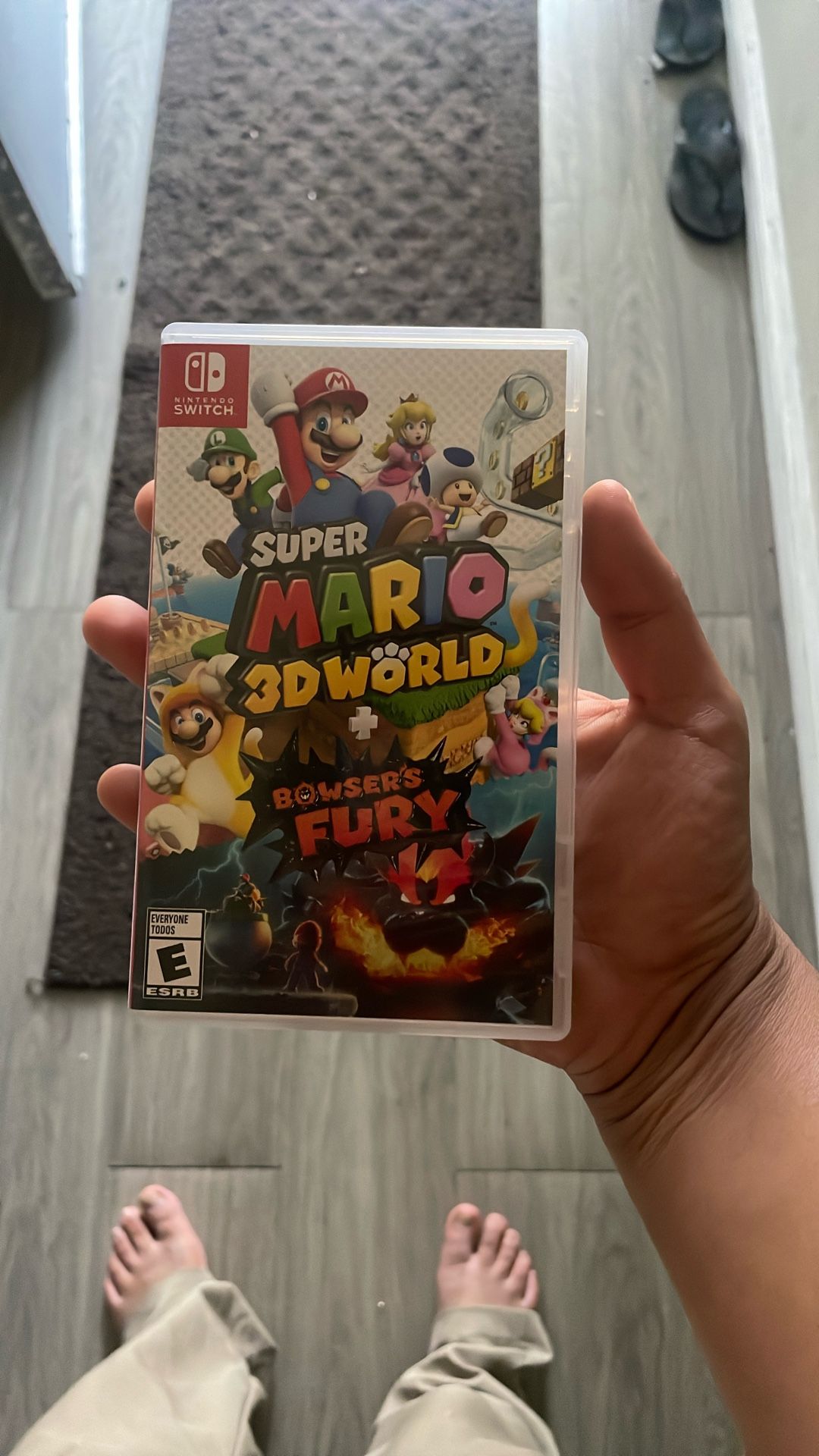 Nintendo Switch Game