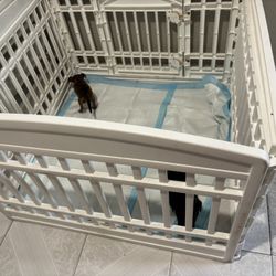 Puppy playpen 