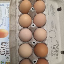 Fresh Farm Eggs- - Unwashed