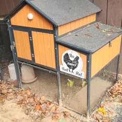 Chicken Coop