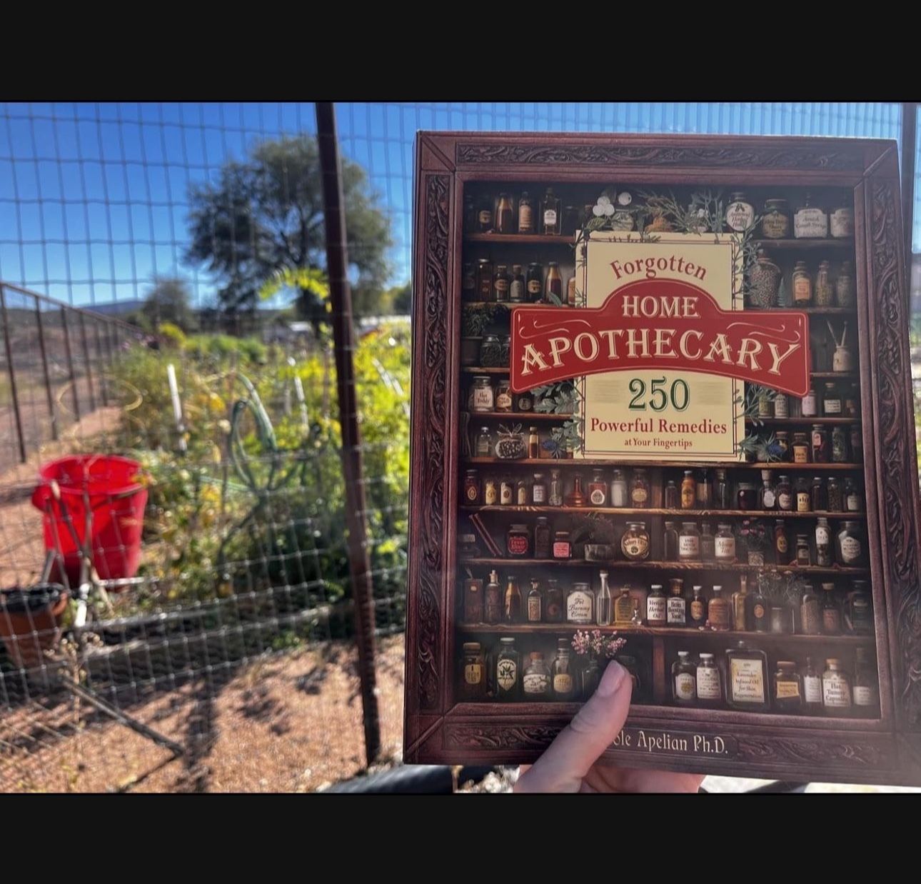 Forgotten Home Apothecary Book