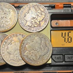 LOT 5 MORGAN SILVER DOLLAR