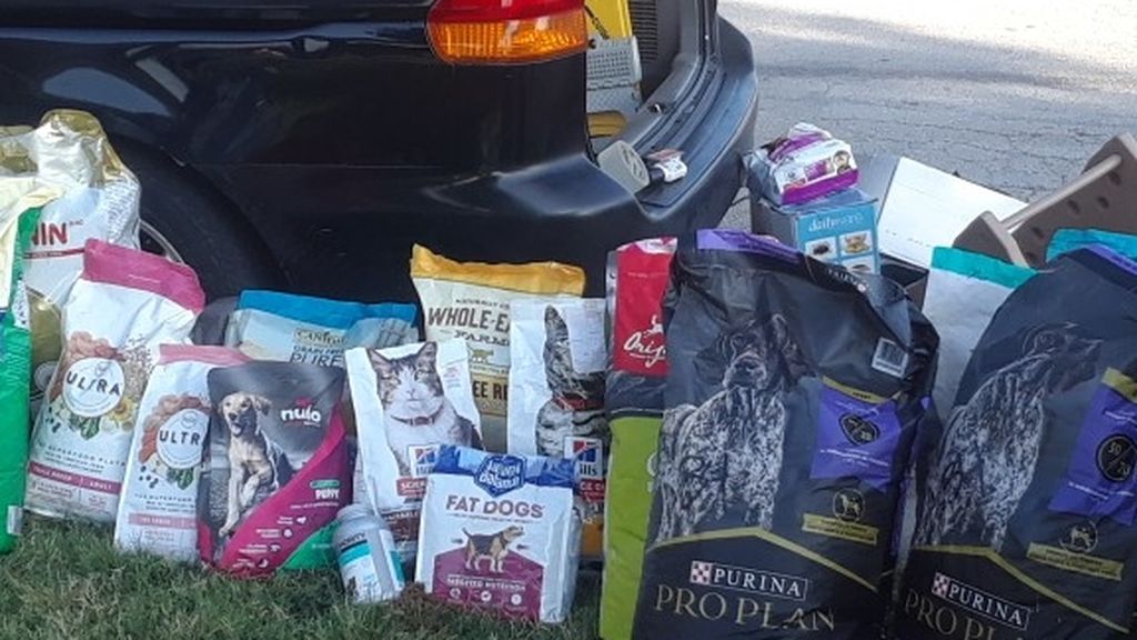  Dog And Cat Food $7  And Up Petco PetSmart Name Brand