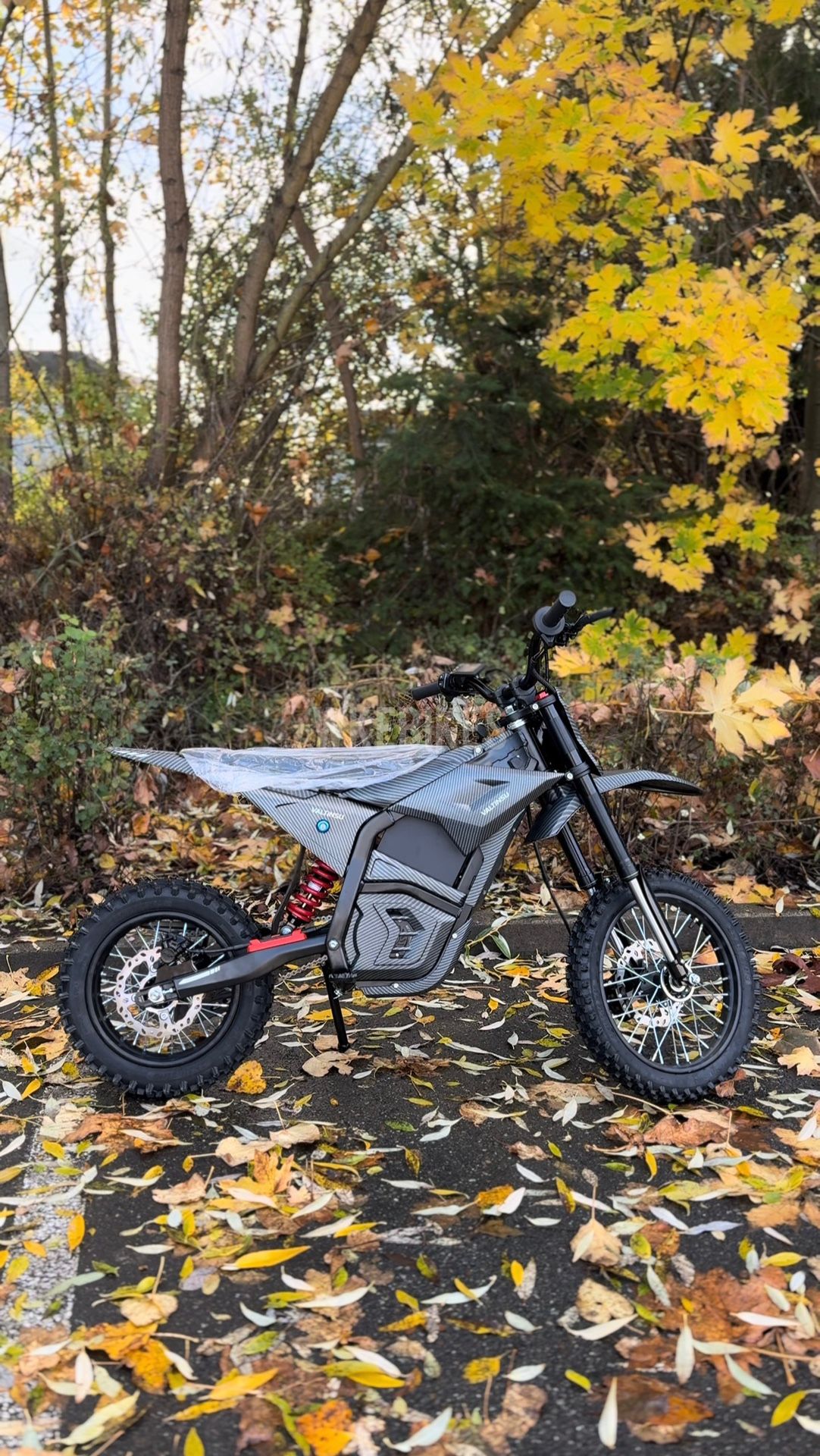 Valtinsu EM5 2500W Electric Bike