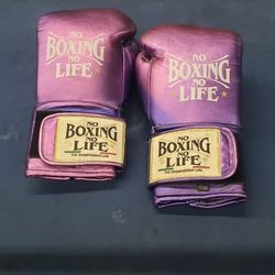 Boxing Gloves 