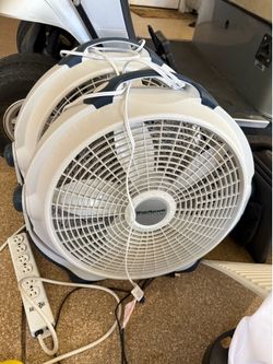 Fans