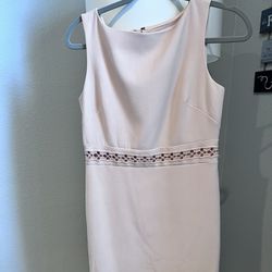 Light Pink Anne Taylor Dress Size 0