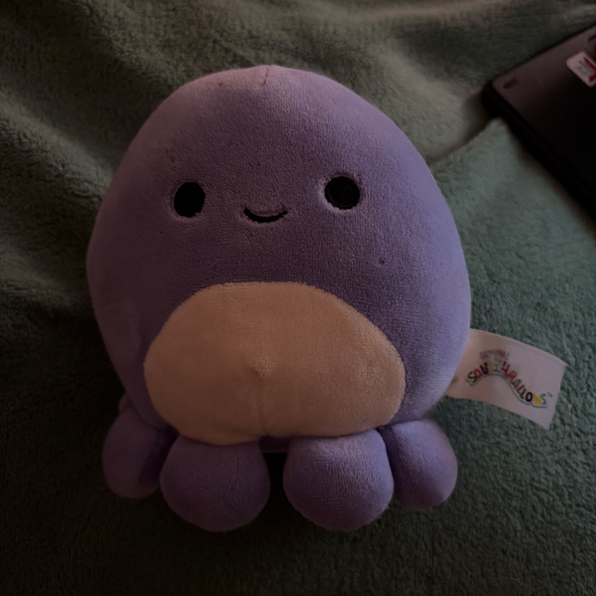 Small Purple Squishmallow