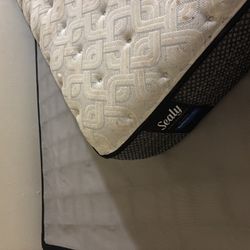 Full Mattress + Box/Cover + Frame