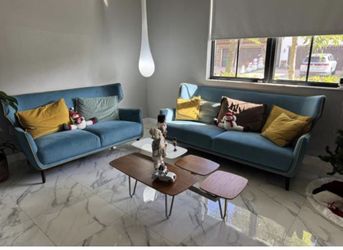 Living Room Vintage , Price Including Delivery