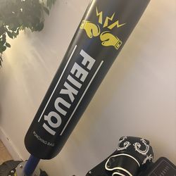 Punching Bag And Gloves