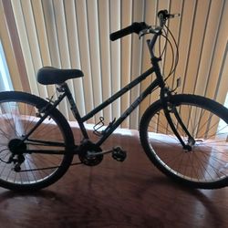 17 Inch Women's Trek Bike