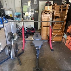 Olympic Bench Bar Rack And Plates With Plate Tree