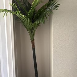 Office Palm Tree