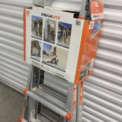 Ladder  