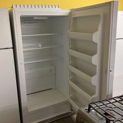 Stand Up Freezer 