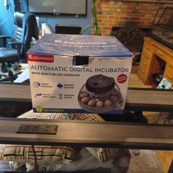 Incubator 