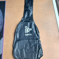 Acoustic Guitar BAGS (2)