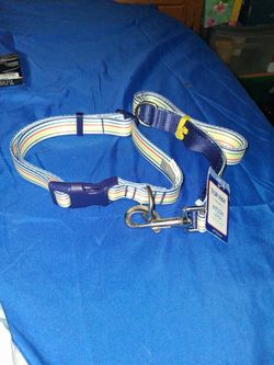 Dog leash and collar