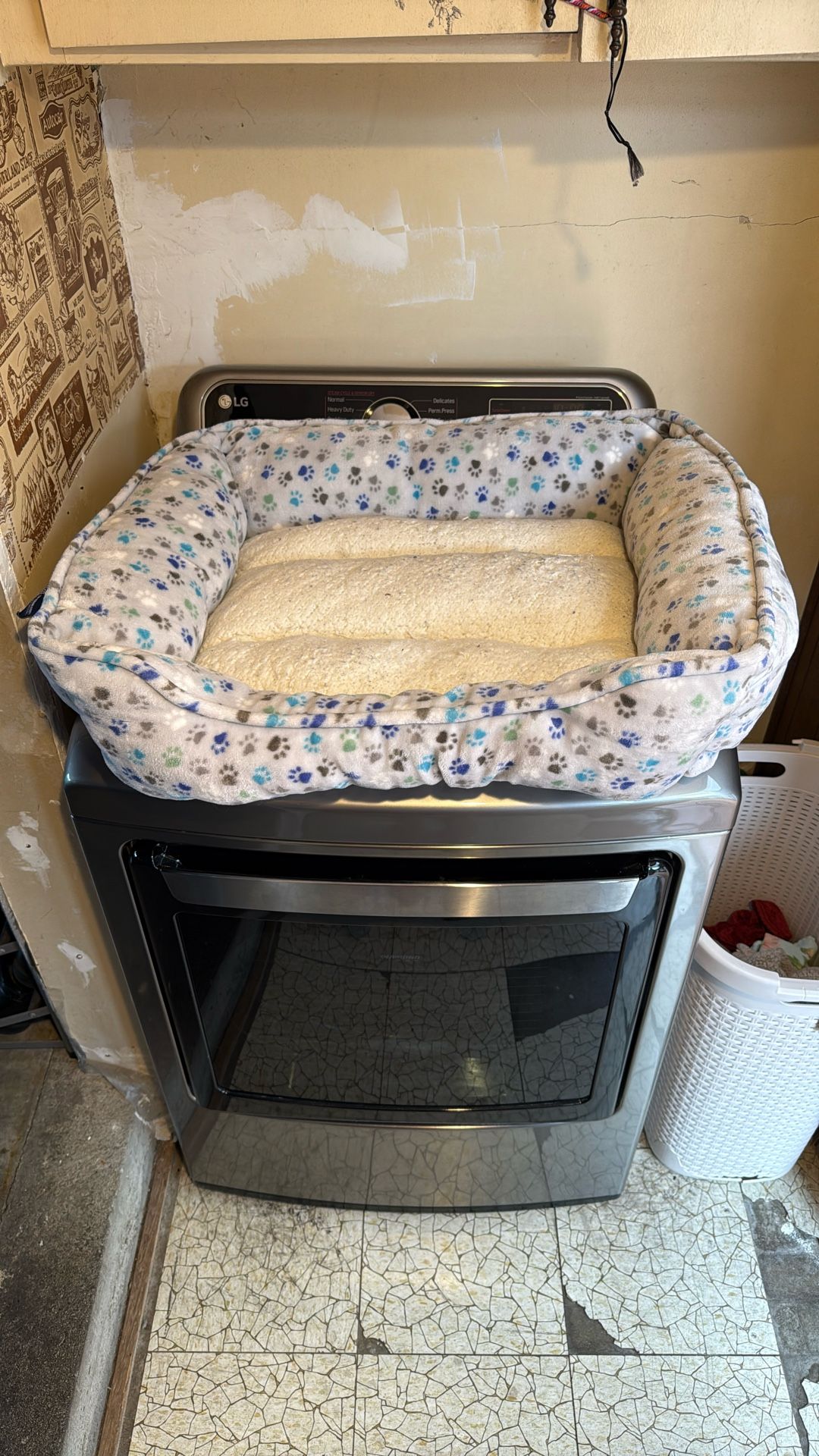 10$ DOG bed Comes From Clean Home 🏠