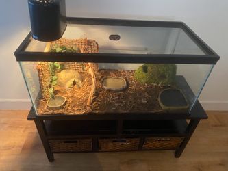 Complete Reptile/Tortoise Terrarium Setup with Stand $275 OBO