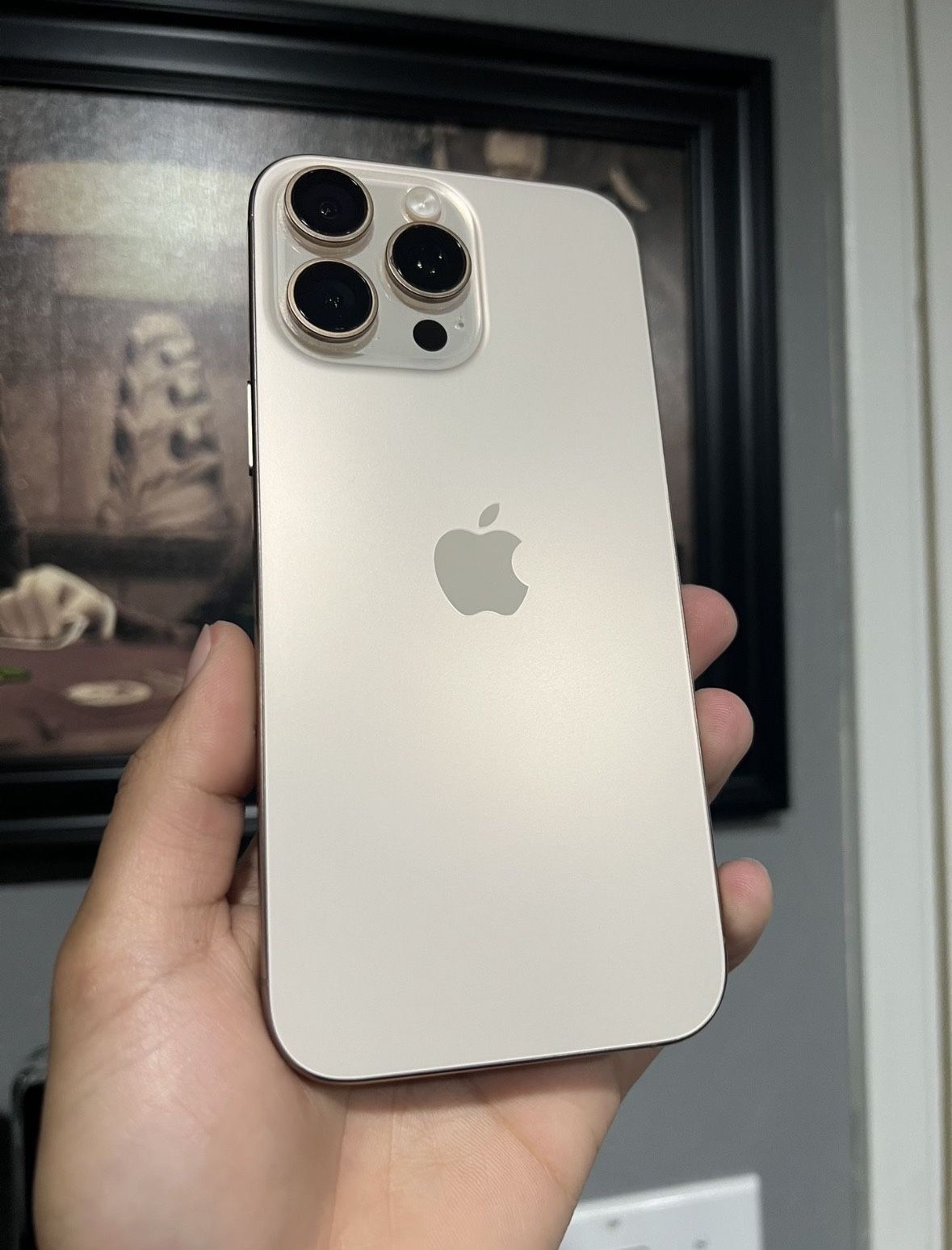iPhone 16 Pro Max