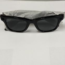 Rayban Meta Sunglasses 