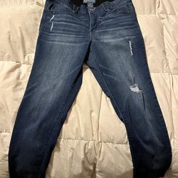 Gently Used Democracy AbSolutions Jeans