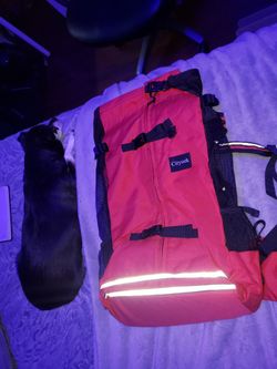 Cityork Dog Back Pack Size LG.