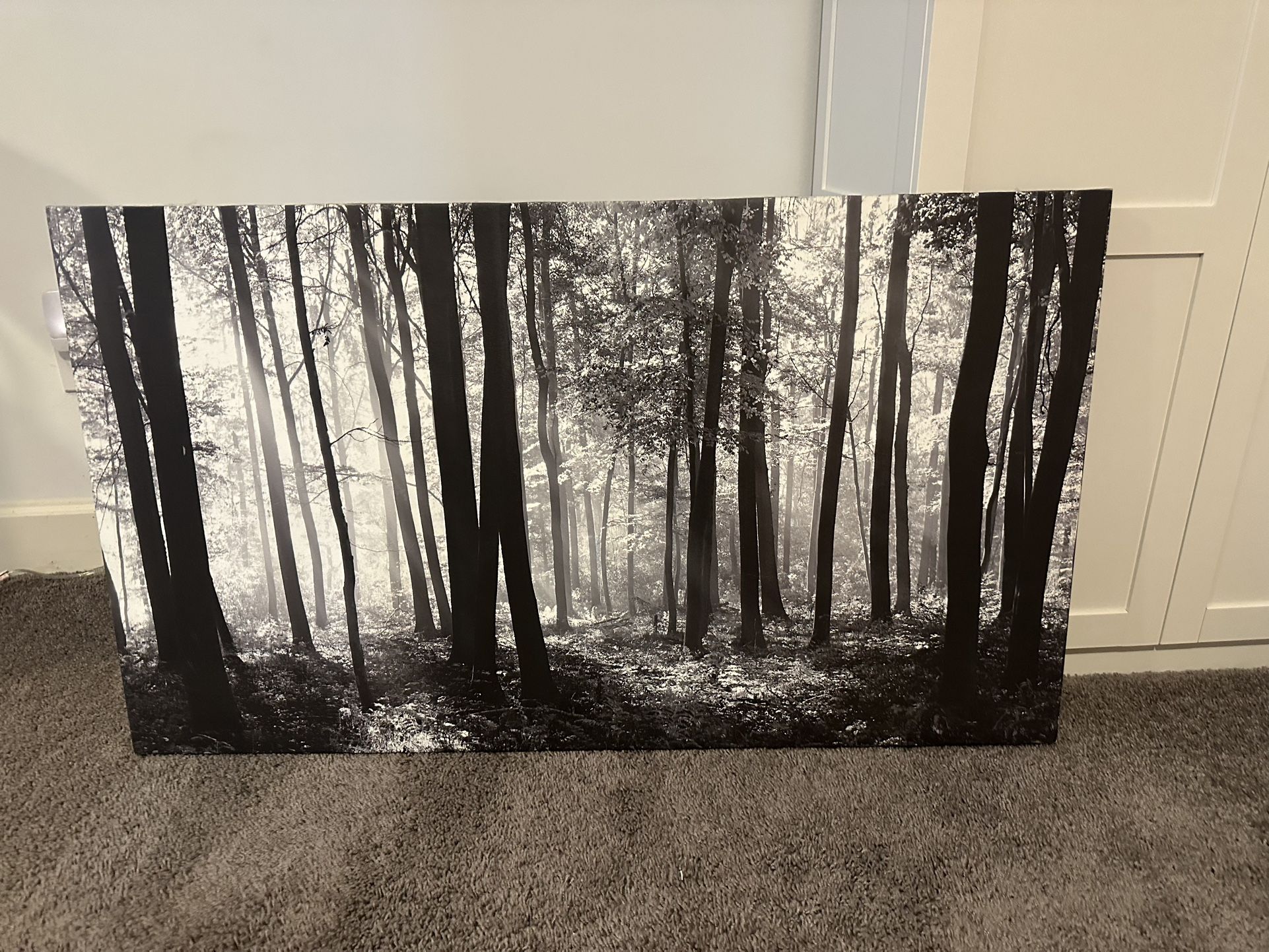 Black & White Canvas